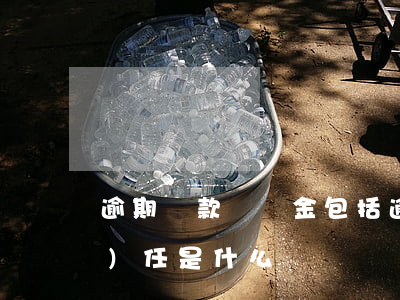 逾期還款違約金包括(逾期還款違約責(zé)任是什么)