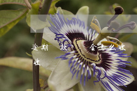 逾期還款違約金怎么收(銀行逾期違約金怎么收)