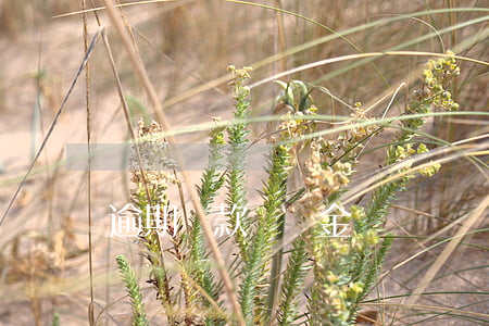 逾期還款違約金記賬時間(逾期還款之日)