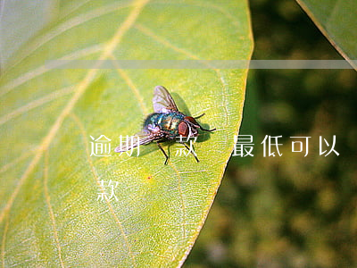 逾期還款還最低可以嗎(逾期了還能還最低還款額嗎)