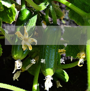 逾期還款還有滯納金嗎 逾期滯納金可以減免嗎