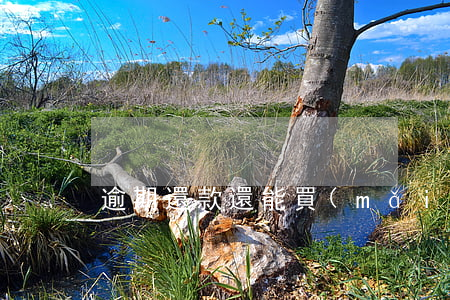 逾期還款還能買(mǎi)高鐵票嗎