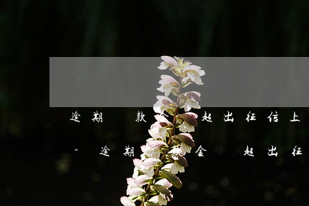 逾期還款金額超出征信上報(bào)金額-逾期還款金額超出征信上報(bào)金額怎么辦