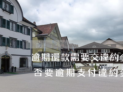 逾期還款需要交違約金嗎(逾期支付合同款可否要逾期支付違約金)