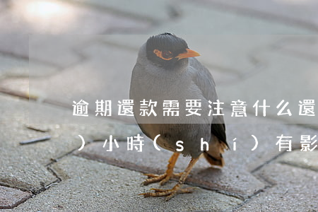 逾期還款需要注意什么(還款逾期幾個(gè)小時(shí)有影響嗎)
