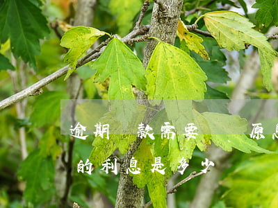 逾期還款需要賠償原息的多少倍-逾期還款的利息是多少