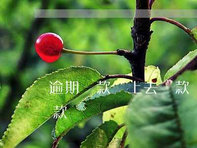 逾期還款馬上去貸款(當前逾期還了后可以貸款嗎)