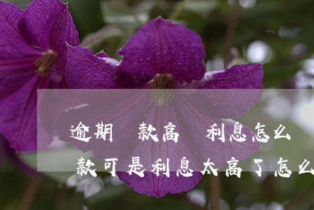 逾期還款高額利息怎么辦(信用卡逾期了想還款可是利息太高了怎么辦)