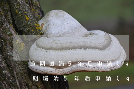 逾期還清5年后申請(qǐng)信用卡(逾期還清5年后申請(qǐng)信用卡)