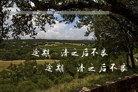 逾期還清之后不良記錄會(huì)消除嗎-逾期還清之后不良記錄會(huì)消除嗎知乎