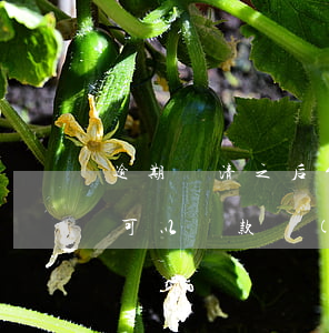 逾期還清之后能貸款嗎(貸款逾期后還清了還可以貸款買(mǎi)房嗎)
