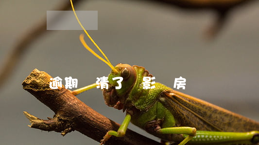 逾期還清了還影響房貸嗎