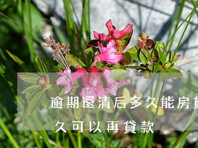 逾期還清后多久能房貸款(貸款逾期還清后多久可以再貸款)