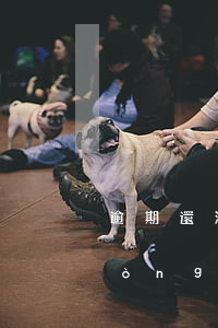 逾期還清后征信5年會(huì)自動(dòng)恢復(fù)嗎