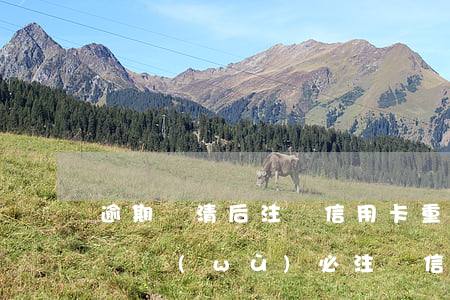 逾期還清后注銷信用卡，重要提示：逾期還清后請務(wù)必注銷信用卡！