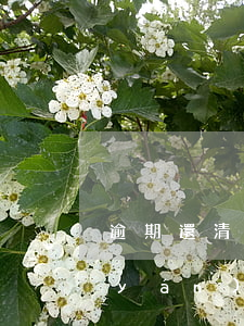 逾期還清后申請(qǐng)信用卡-嚴(yán)重逾期還清后申請(qǐng)信用卡