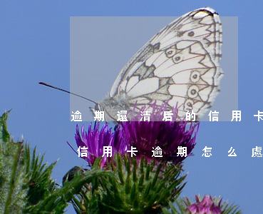 逾期還清后的信用卡銀行怎么處理-銀行對信用卡逾期怎么處理