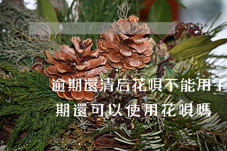 逾期還清后花唄不能用了(花唄還款后不算逾期還可以使用花唄嗎)
