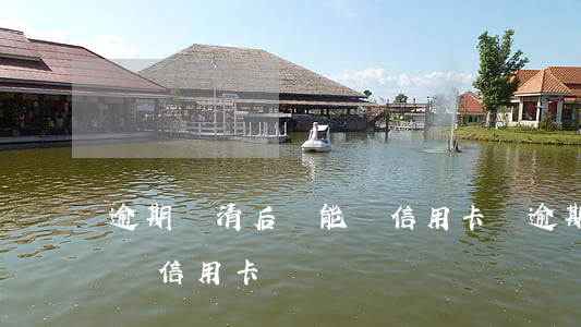 逾期還清后還能辦信用卡嗎(逾期還清后還能辦信用卡嗎)