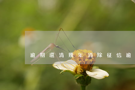 逾期還清幾年消除征信（逾期還清幾年消除）