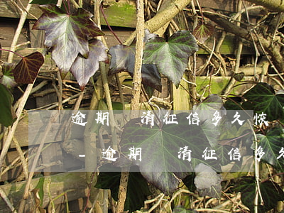 逾期還清征信多久恢復(fù)影響孩子不-逾期還清征信多久可以恢復(fù)