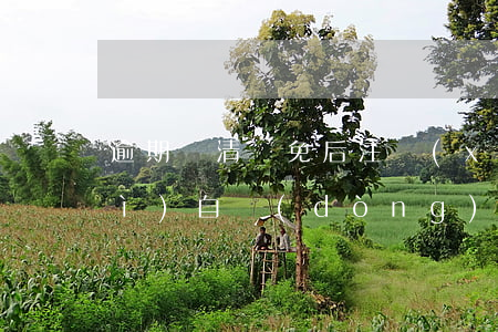 逾期還清減免后注銷(xiāo)會(huì)自動(dòng)消除嗎-逾期還清減免后注銷(xiāo)會(huì)自動(dòng)消除嗎知乎