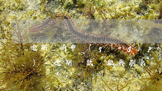 逾期還清申請(qǐng)pos機(jī)-逾期還款還能再刷出來嗎
