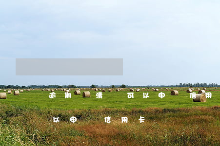 逾期還清還可以申請信用卡嗎(逾期還清還可以申請信用卡嗎)
