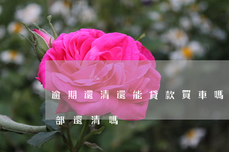 逾期還清還能貸款買車嗎(車貸逾期了必須全部還清嗎)