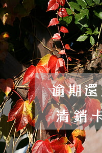 逾期還清銷卡后逾期記錄幾年消除-逾期還清銷卡后逾期記錄幾年消除了