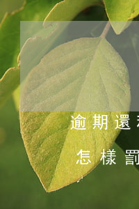 逾期還租房貸款多久扣分(房貸逾期一個月會怎樣罰款多少)