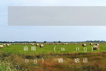 逾期還網(wǎng)貸-逾期還網(wǎng)貸通過啥途徑