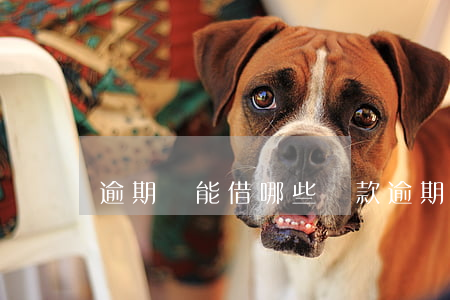 逾期還能借哪些貸款(逾期還款還能借嗎)
