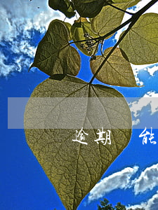 逾期還能在銀行貸款(逾期還能在銀行貸款嗎)
