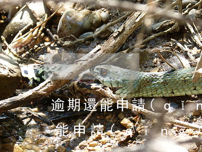 逾期還能申請(qǐng)信用卡么（逾期還能申請(qǐng)信用卡么）