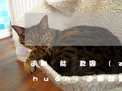 逾期還能貸款周轉(zhuǎn)嗎(轉(zhuǎn)逾期就是逾期嗎)