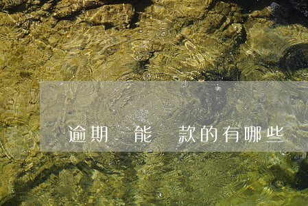 逾期還能貸款的有哪些