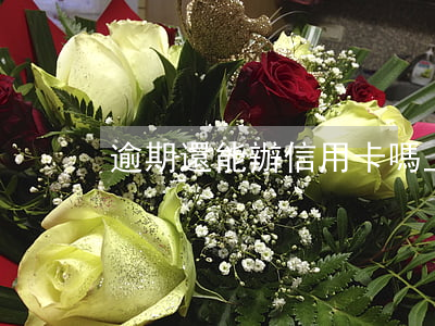 逾期還能辦信用卡嗎上海