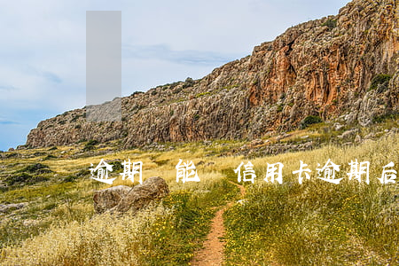 逾期還能辦信用卡 逾期后還能辦的信用卡