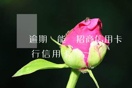 逾期還能辦招商信用卡嗎 有逾期能辦招商銀行信用卡嗎