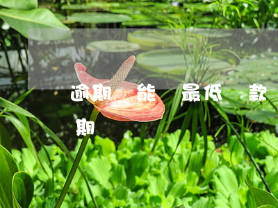 逾期還能還最低還款嗎(還了最低還款還算逾期嗎)
