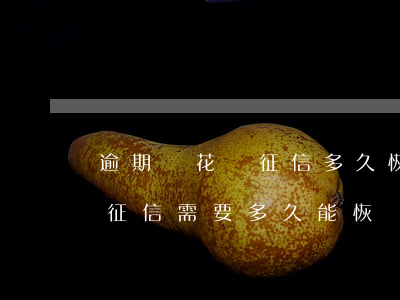 逾期還花唄征信多久恢復(螞蟻花唄借唄逾期征信需要多久能恢復)