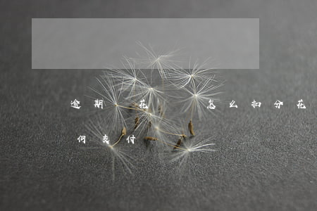 逾期還花唄會怎么扣分(花唄逾期了淘寶還如何支付)