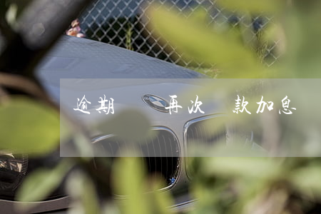 逾期還貸再次貸款加息(貸款利息逾期了怎么還)