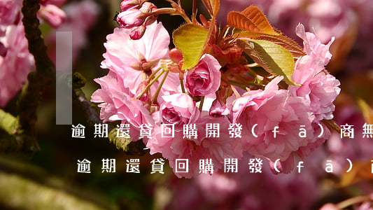 逾期還貸回購開發(fā)商無條件收回-逾期還貸回購開發(fā)商無條件收回怎么辦