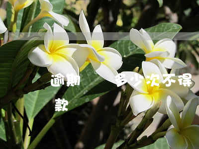 逾期還貸多少次不得貸款(多次逾期還可以貸款嗎)