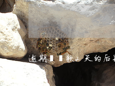 逾期還貸款2天的后果(還貸款逾期一天后果)
