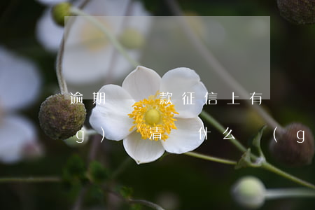 逾期還貸款征信上有記錄(貸款已經(jīng)還清為什么個(gè)人征信上還有逾期)