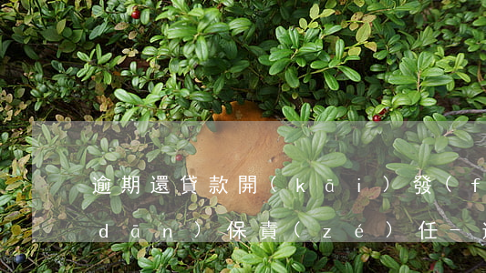 逾期還貸款開(kāi)發(fā)商擔(dān)保責(zé)任-逾期貸款擔(dān)保人