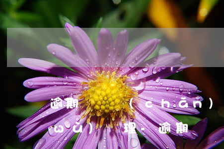 逾期還貸產(chǎn)生的滯納金賬務(wù)處理-逾期還貸產(chǎn)生的滯納金賬務(wù)處理流程